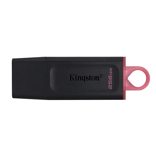 Kingston 256GB (DTX/256GB)Data Traveler Exodia