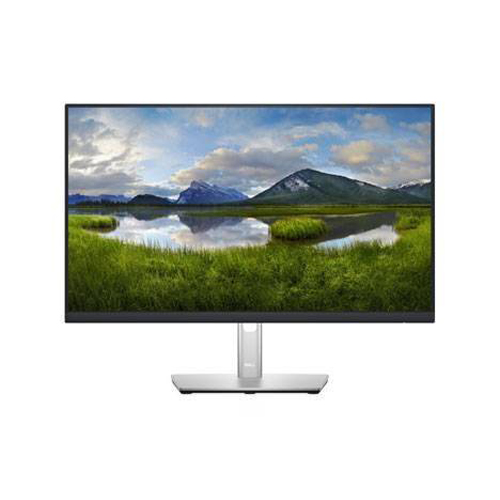 DELL 23.8" P2422H Monitor
