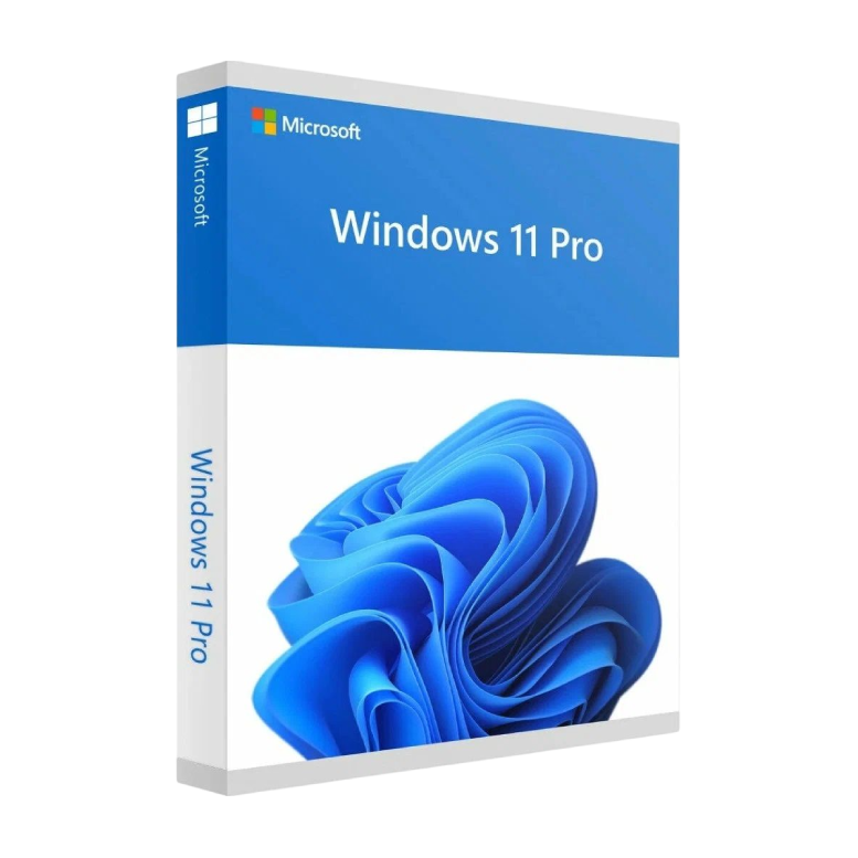 WIN 11 PRO 64BIT 1PK DSP OEI DVD