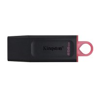 Kingston 256GB (DTX/256GB)Data Traveler Exodia