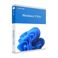 WIN 11 PRO 64BIT 1PK DSP OEI DVD